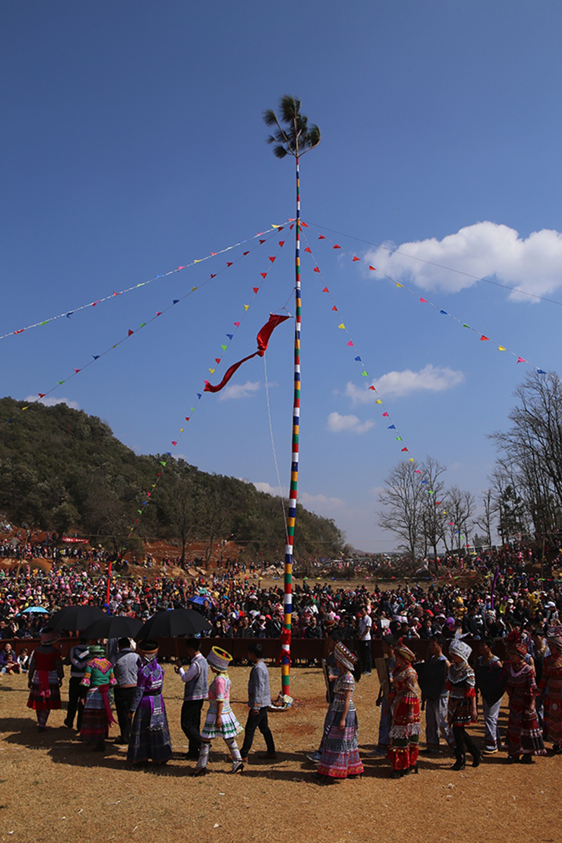 花山场上,围着花杆举行各种活动:祭祀,跳芦笙,集市,对歌,踢脚架,斗牛