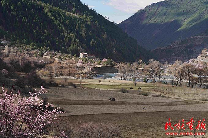 四川省甘孜藏族自治州康定市沙德镇瓦约村.藏族群众春耕播种忙.